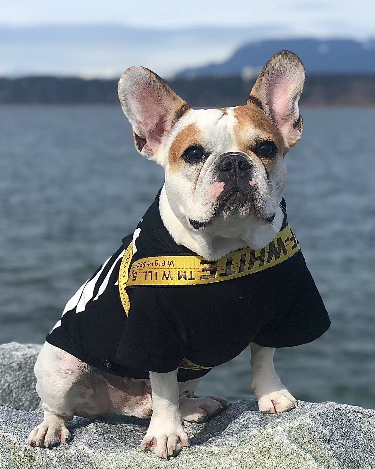 Pet Portrait Customized Hat